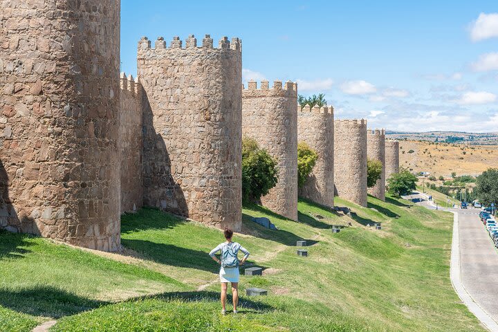 Avila and Salamanca Tour from Madrid image