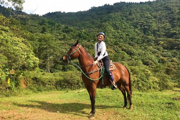 Authentic Colombian Horseback Ride image