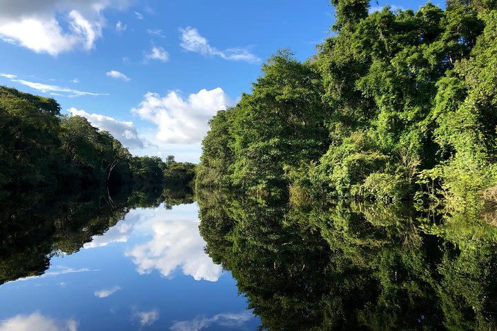 4-Day Amazon Pacaya-Samiria National Reserve Adventure image