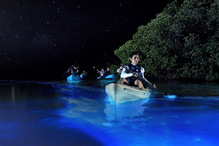 Bioluminescence Clear Kayak or Clear Paddleboard Adventure Tour image