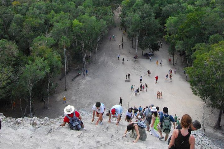 Cobá, Cenote Cho Ha, Tulum and Paraiso Beach, Reduced Group. image