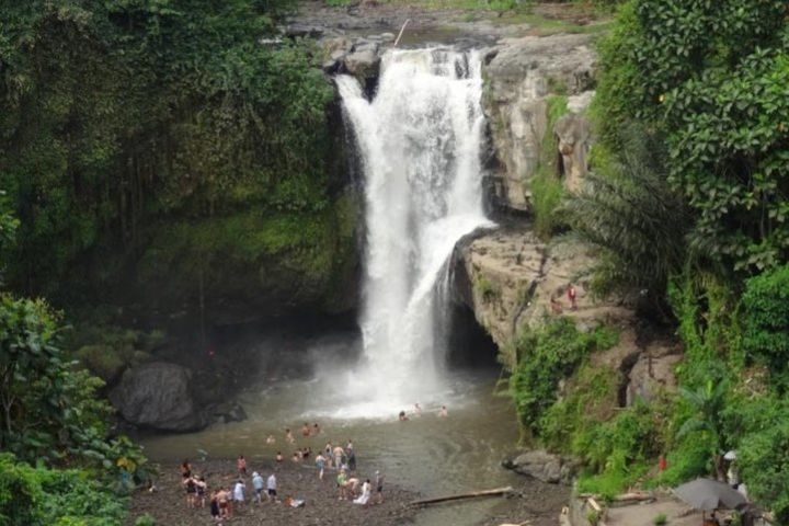 Best of Ubud intagram waterfalls with jungle swing and lunch  image