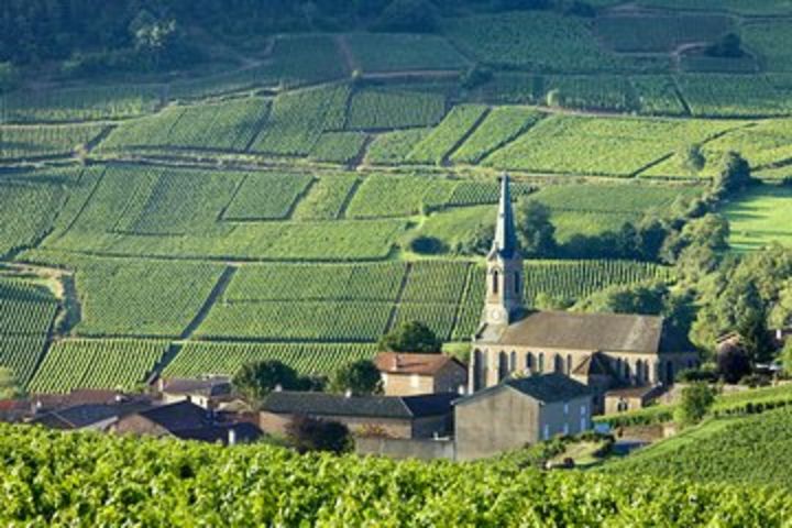 BURGUNDY : Unique Wine Tour from PARIS (Day-trip by TGV - High-speed train) image