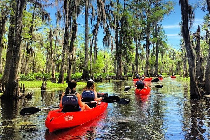 Manchac Swamp Kayak Small-Group Tour image