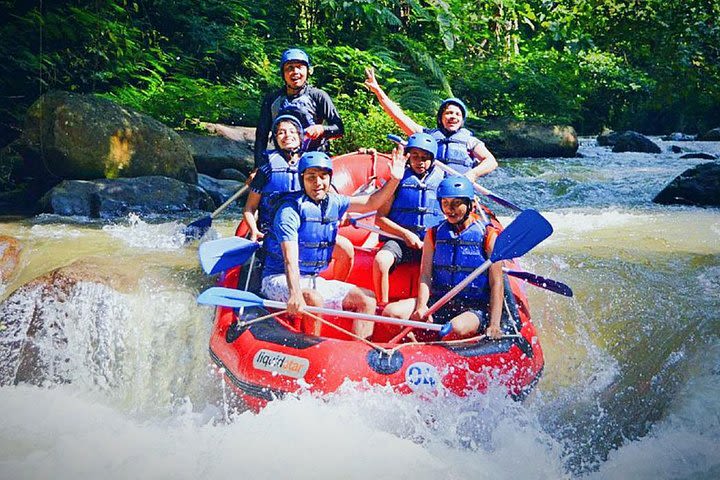 Ayung White Water Rafting and Tanah Lot Sunset Tour : Bali Best One Day Trip image