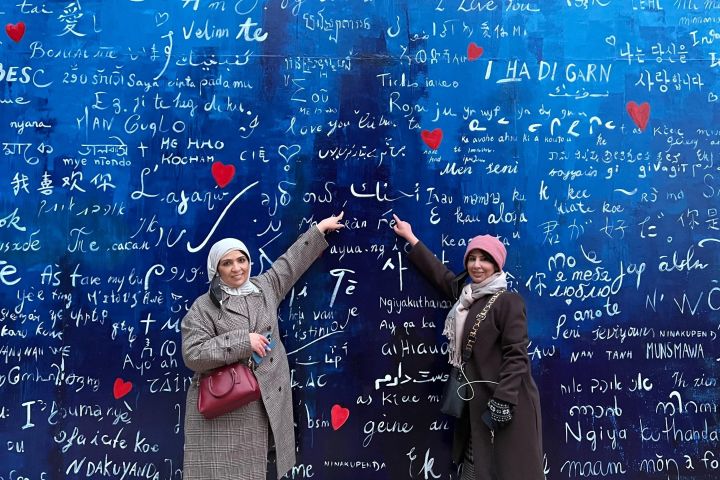 Seoul VIP Private 8-Hour Tour image