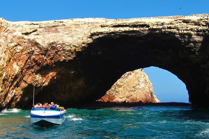 Palomino Islands Swim with sea lions Lima with Transfers included. image