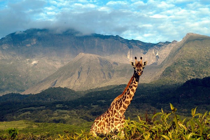 Mt Meru Trekking, 4 Days 3 Nights image