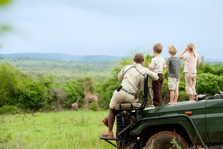 Ngorongoro Crater Day Trip from Arusha | Full Day Game Drive image