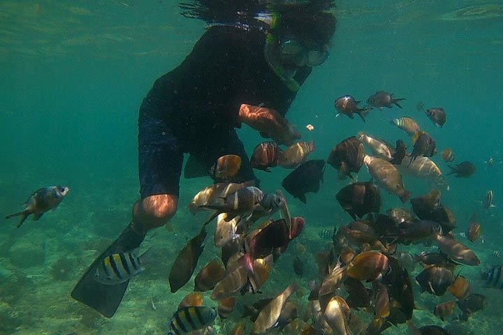 Gili Trawangan, Gili Air, & Gili Meno Snorkeling Trip image