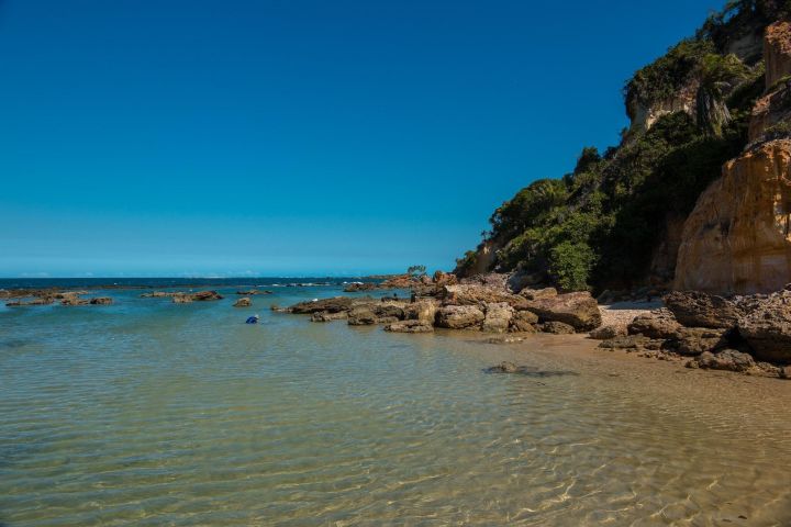 Shared Transfer Salvador to Morro de São Paulo image