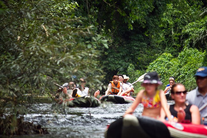 An Inundation in Khao Sok’s Natural Splendour image