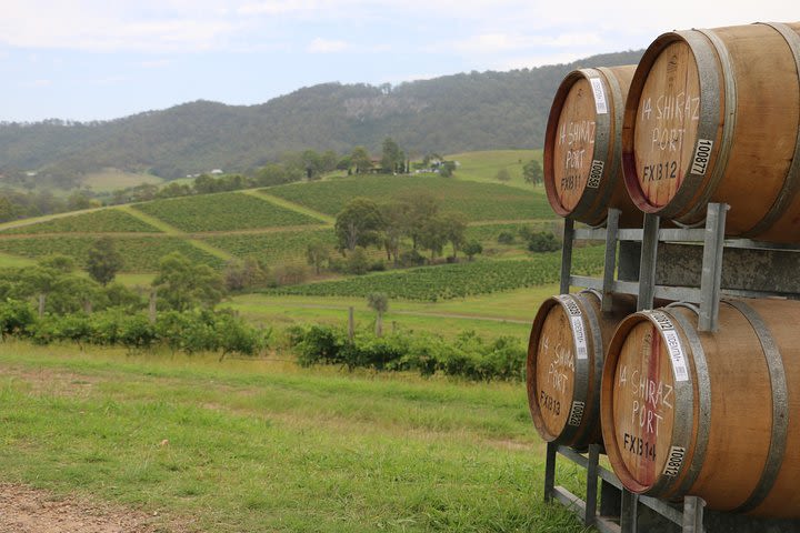 Hunter Valley Wine Tour ex Pokolbin with Lunch, Cheese, Chocolate and Distillery image