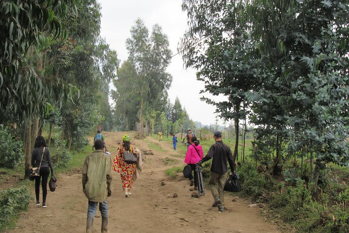 Scenic walk around volcanoes image