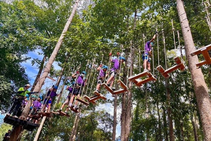 Tree Top Adventure Zipline and Rope Course image