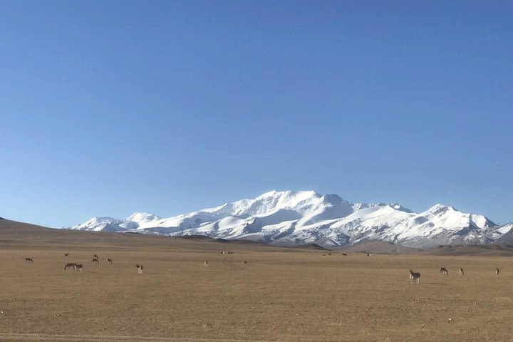 5-Night Lhasa and Lake Namtso Highlights Group Tour  image