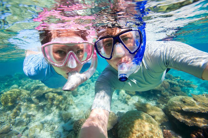 Trindade Fishing Village, Beach Trek and Snorkeling Tour from Paraty image