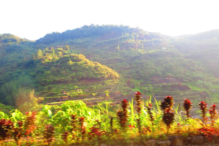 Pula-Cambulo-Batad-Bangaan Rice Terraces + Tappiyah falls from manila image