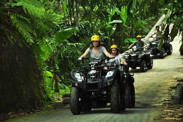 Bali Quad Bike with tour to visit Rice Terrace, Holy Water Temple and Waterfall image