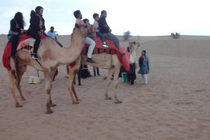 Dubai Evening Camel Safari Adventure with BBQ Dinner image