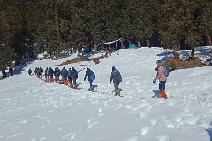 Kedarkantha Trek image