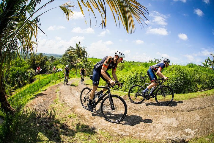 Bali Countryside Cycling and Ayung White Water Rafting image