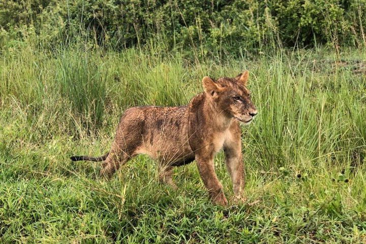 5-Day Mikumi National Park and Selous Game Reserve image