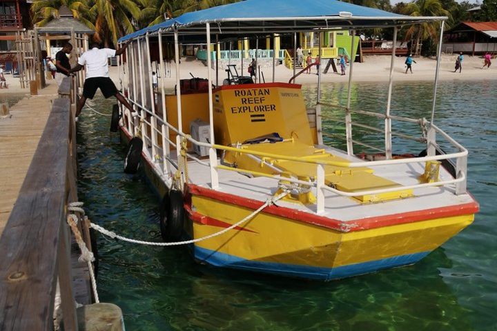  Glass Bottom boat Wild life encounter and chocolate Factory  image