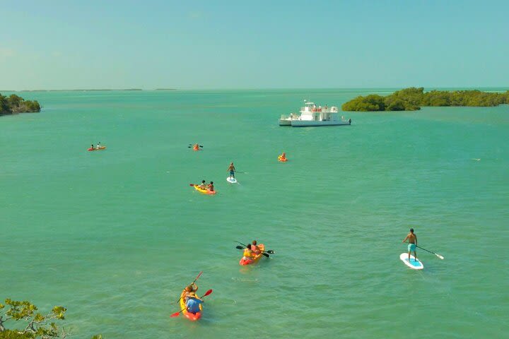 Half-Day Key West's Ultimate Sandbar Adventure with Mangrove Kayak Eco Tour image