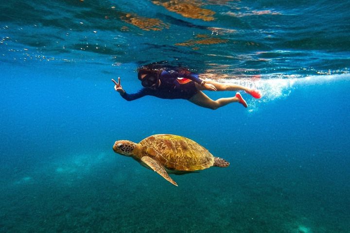Koh Tao & Koh Nang Yuan Snorkeling Adventure image