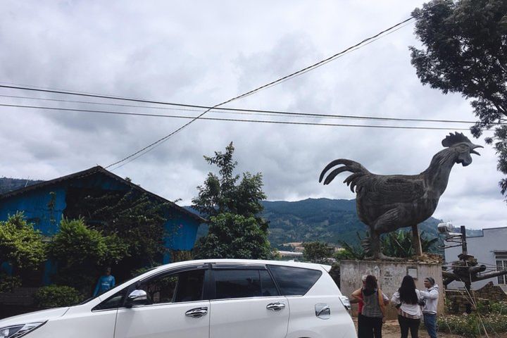 Dalat Private pick up from Lien Khuong Airport 7seat image