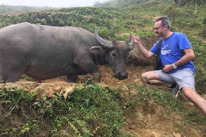  Sapa 1 day private - Special Buffalo Riding & Trekking Tour . image