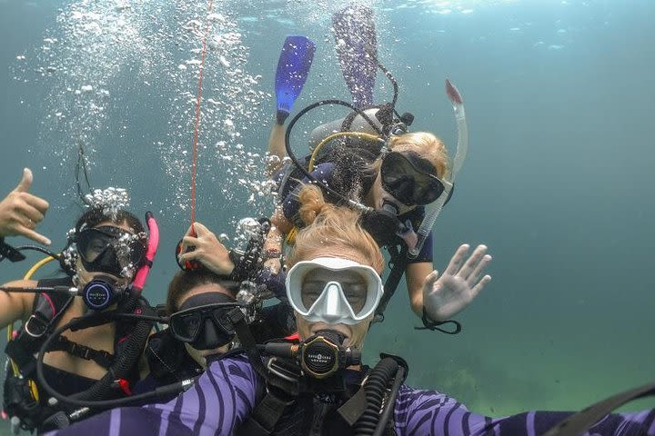 Discover Scuba Diving (DSD) 1 day Experience image