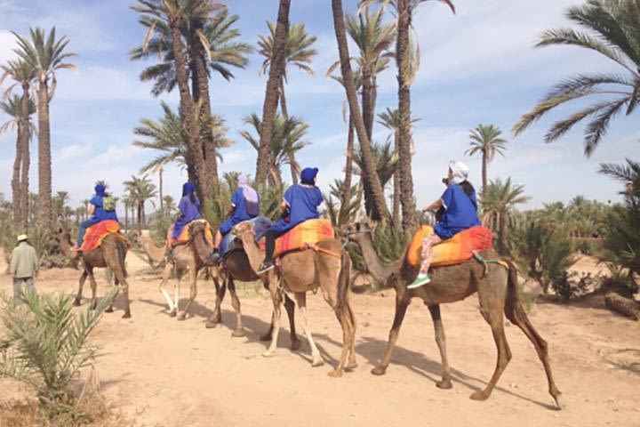 Marrakech Camel Ride Experience with Pick-up image