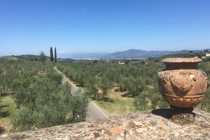 Chianti e-bike tour from Florence with wine tasting image