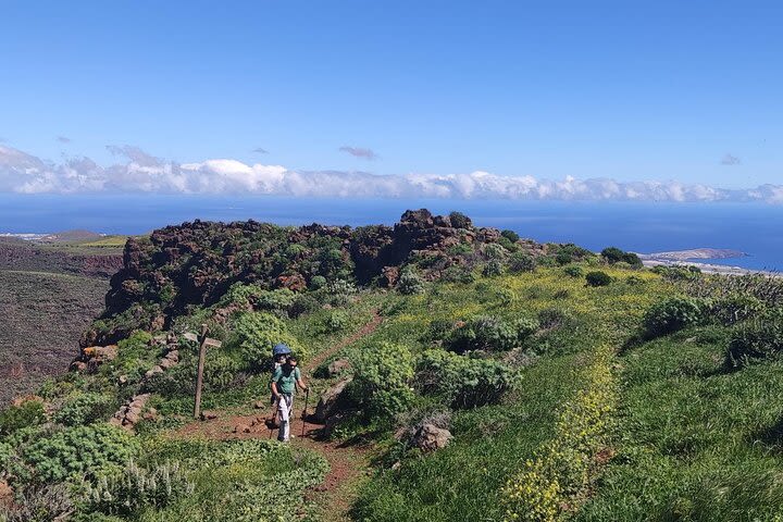 Blütenwanderungen Gran Canaria image