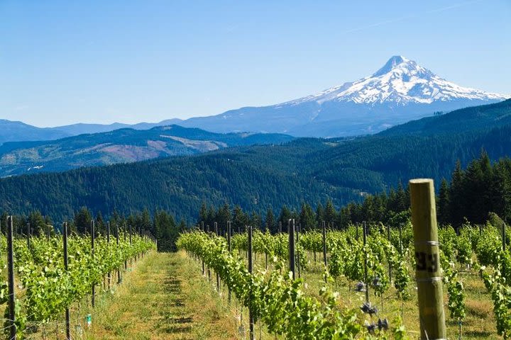 Mt. Hood/Gorge Waterfall Loop from Portland image