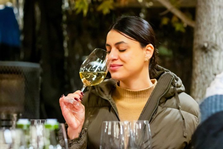 Viña Concha y Toro Premium Wine Center Tour image