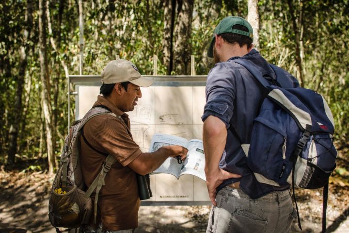 Calakmul Ancient Maya city from CHETUMAL or BACALAR image