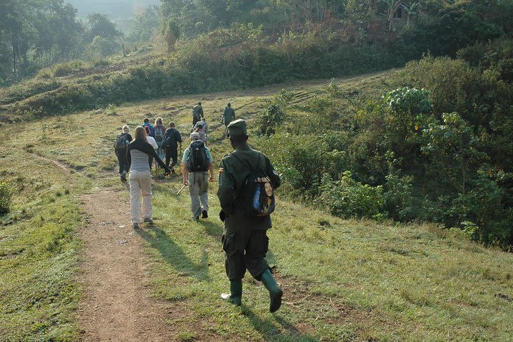  14 Day Uganda & Rwanda Primate Tour (Midrange Tour) image