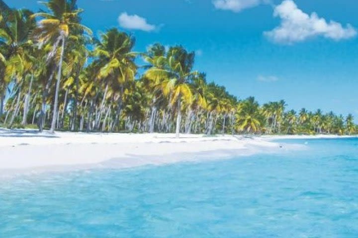 Vacation at Saona Island image