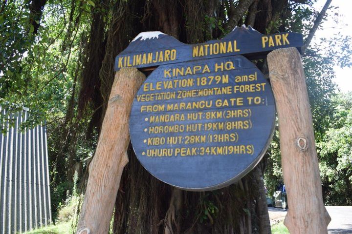 Mt. Kilimanjaro climbing through Marangu route image