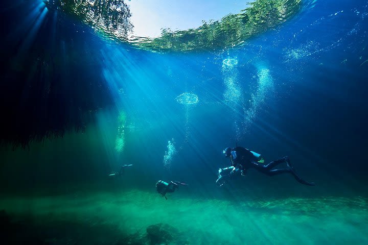 Discover Scuba Diving in cenote Casa image