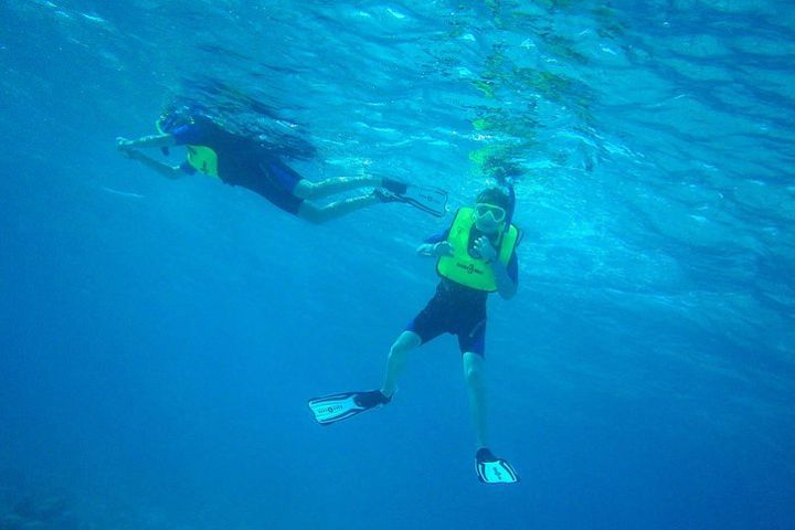 A Unique Private Snorkel Tour of Key Largo  image