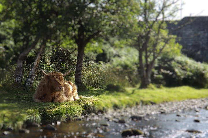 A taste of Scotland image