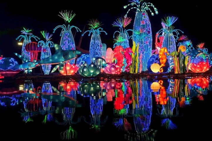 Glow Garden Admission Tickets image