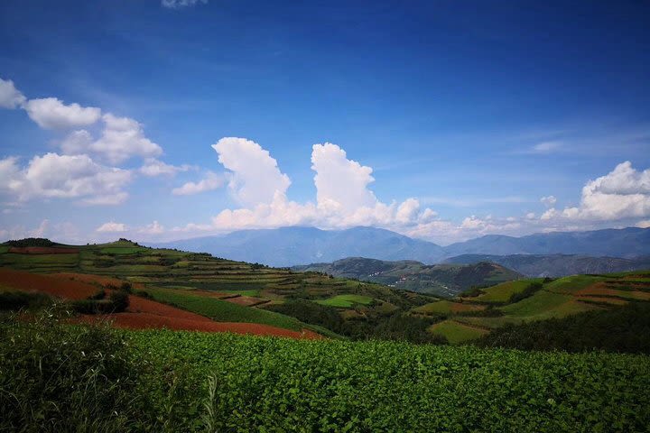 3-Days Dongchuan Red Land and Stone Forest Private Tour from Kunming image