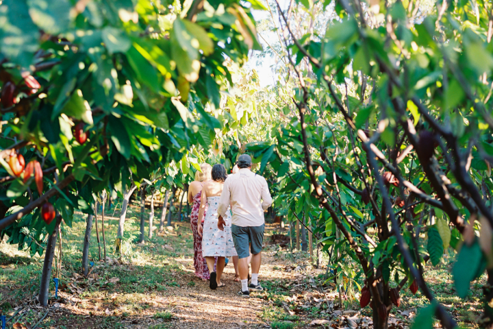 Guided Cacao Farm Tour image