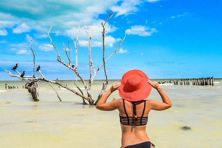 Full Day Adventure at Isla Pasion & Holbox! image