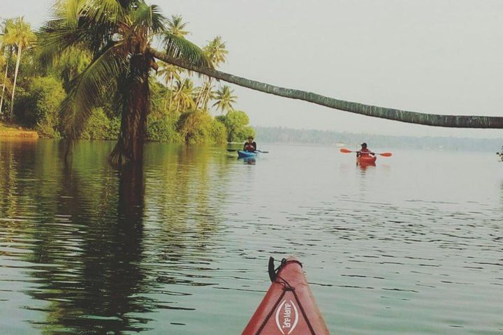 Kayaking in Paravur Backwaters of Kollam image